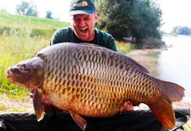 Povestea unui crap de 30,5 kilograme.